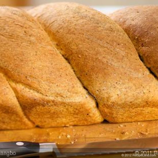 homemade whole wheat bread