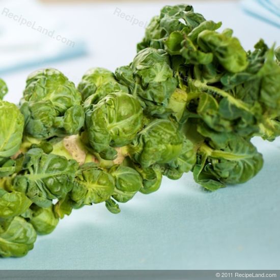 brussels sprouts