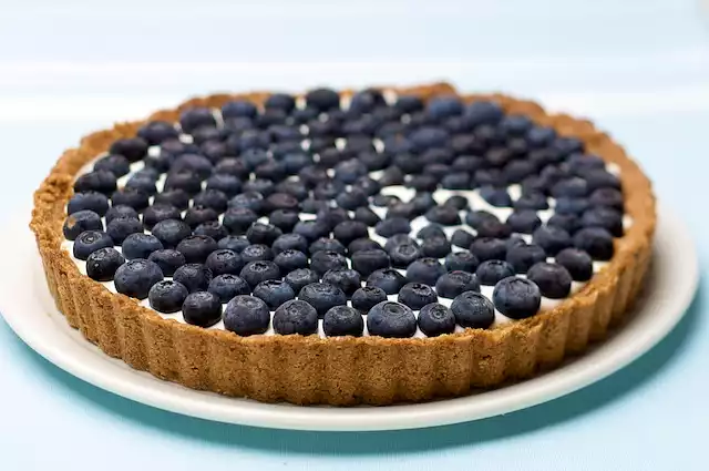 Blueberry Tart - Low Fat