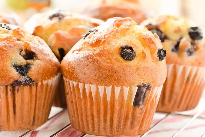 Non-Fat Blueberry Muffins