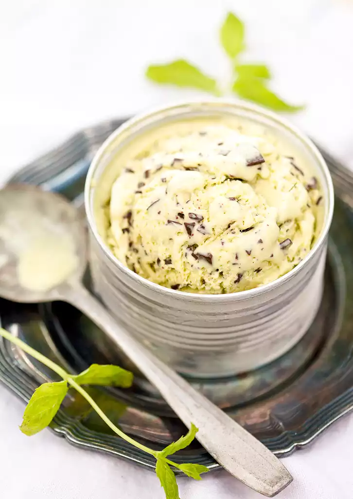 Chocolate Mint Ice Cream