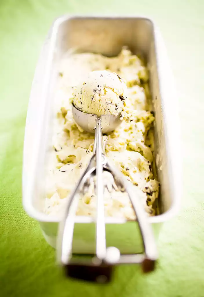 Choco-Mint Ice Cream