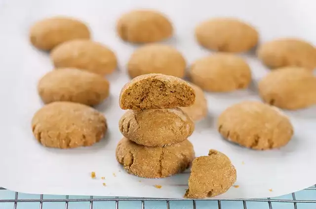 Grandma Rosenbrook's Gingersnaps