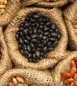 black beans