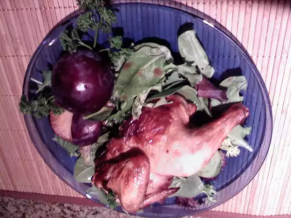 Cornish Hens and Plums on Baby Spinach